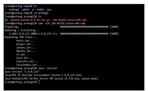 Linux系统服务入门 三种软件安装方式与服务器环境搭建